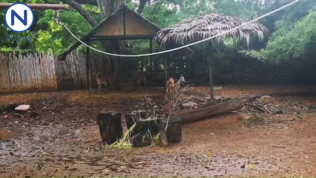 คลิปบรรยากาศช่วงเช้า วันสุดท้ายของ "เขาดิน"
