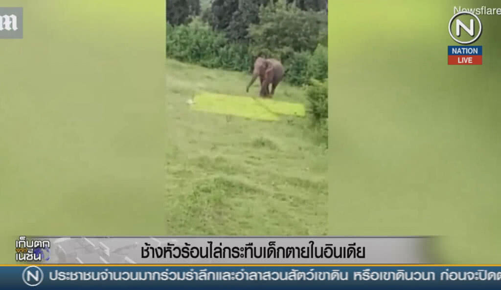(คลิปข่าว) ช้างหัวร้อนไล่กระทืบเด็กตายในอินเดีย (คลิปข่าว) ช้างหัวร้อนไล่กระทืบเด็กตายในอินเดีย