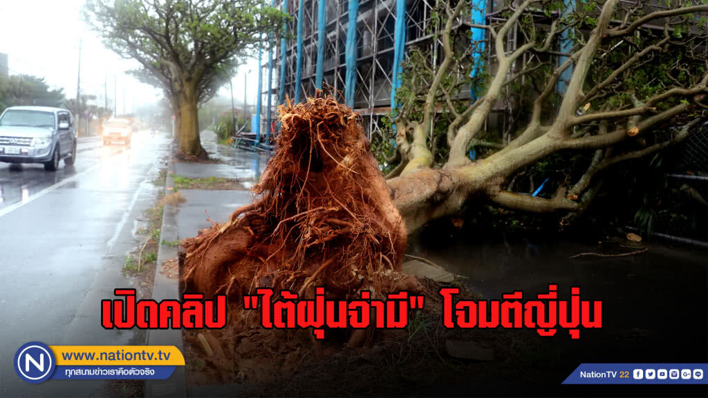 (คลิป) ไต้ฝุ่น "จ่ามี" โจมตีญี่ปุ่น