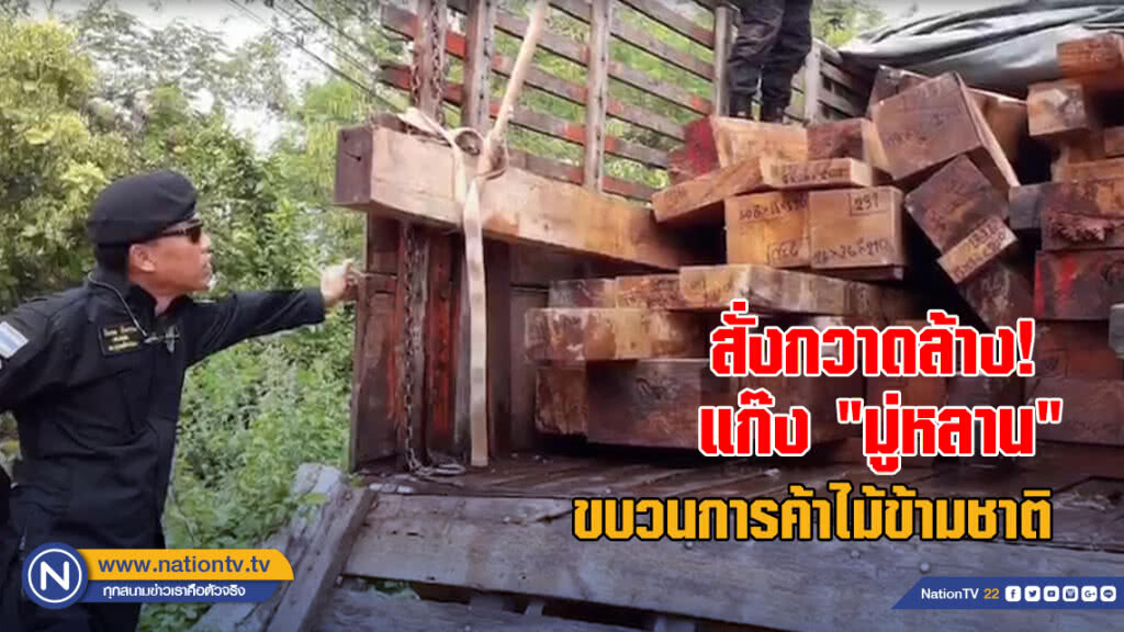 รมว.ทส.สั่งกวาดล้างแก๊ง "มู่หลาน" ขบวนการค้าไม้ข้ามชาติ