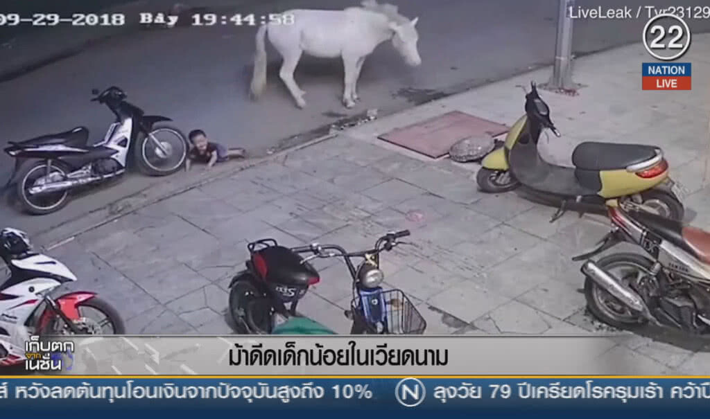 (คลิปข่าว) ม้าดีดเด็กน้อยในเวียดนาม (คลิปข่าว) ม้าดีดเด็กน้อยในเวียดนาม