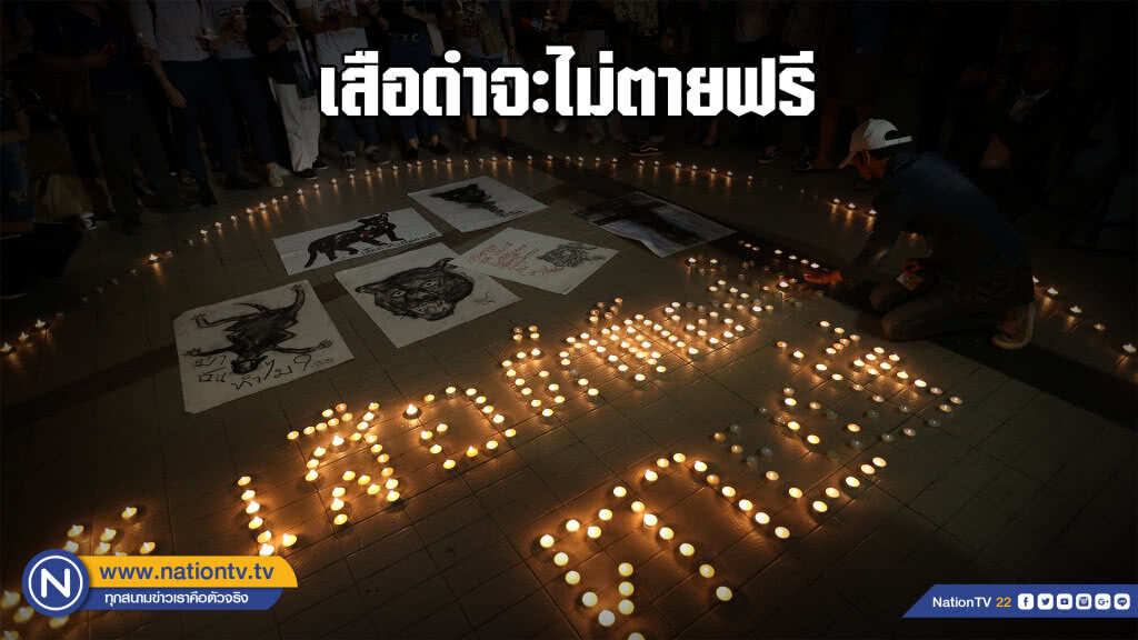 กลุ่ม "ทีชัลล่า" ร่วมจุดเทียนแสดงพลังเสือดำต้องไม่ตายฟรี กลุ่ม "ทีชัลล่า" ร่วมจุดเทียนแสดงพลังเสือดำต้องไม่ตายฟรี