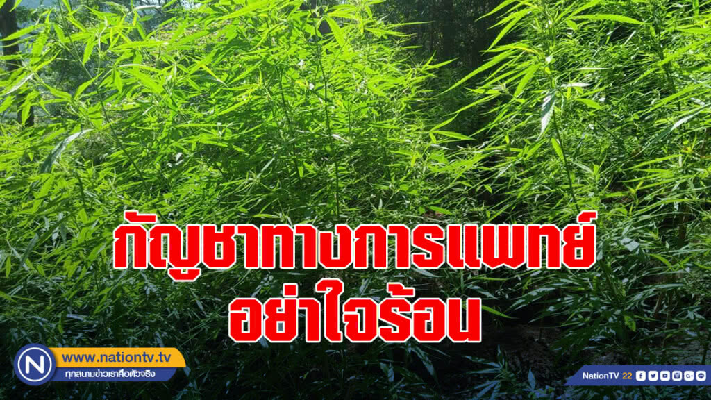 กัญชาทางการแพทย์ อย่าใจร้อน