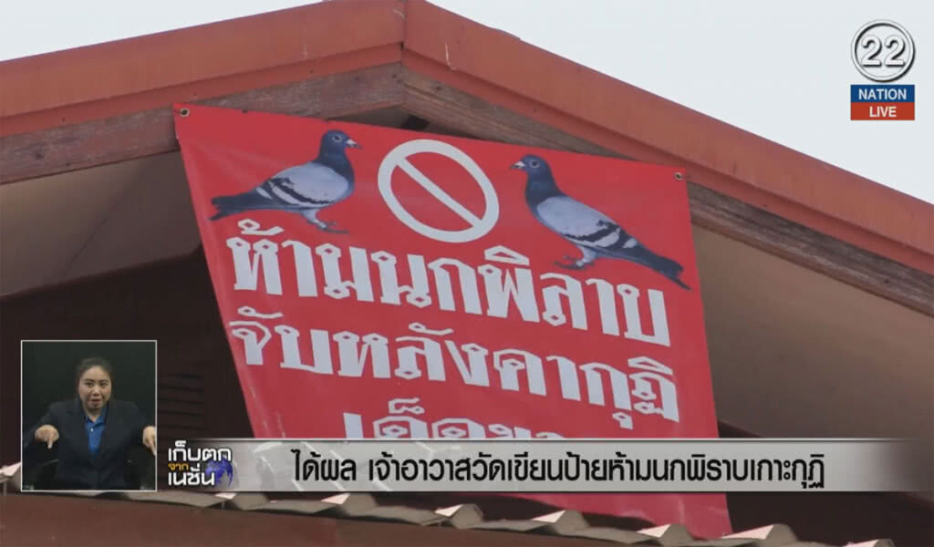 (คลิปข่าว) ได้ผล เจ้าอาวาสเขียนป้ายห้ามนกพิราบเกาะหลังคากุฏิ (คลิปข่าว) ได้ผล เจ้าอาวาสเขียนป้ายห้ามนกพิราบเกาะหลังคากุฏิ