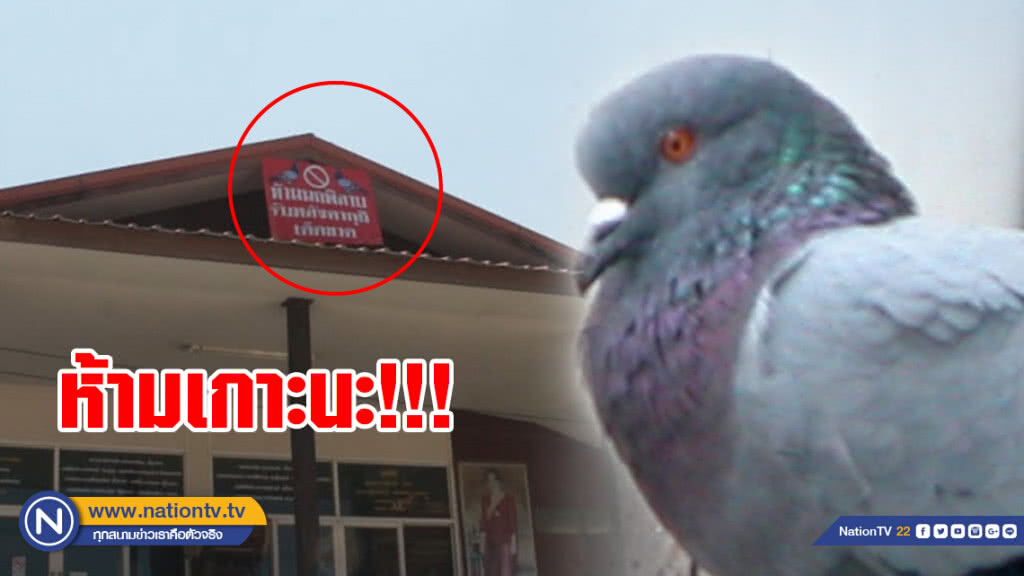เจ้าอาวาสวัด เขียนป้ายห้ามนก!หลังบินก่อกวน  หลังคากุฏิ