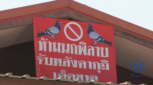 เจ้าอาวาสวัด เขียนป้ายห้ามนก!หลังบินก่อกวน  หลังคากุฏิ