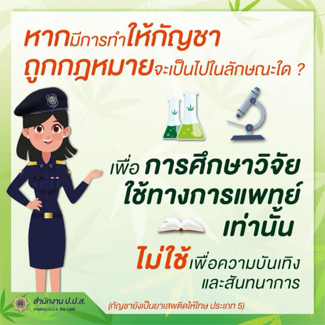 ป.ป.ส.โร่แจงสถานะ "กัญชา" ไทย ยังเป็นยาเสพติดตามกฎหมาย