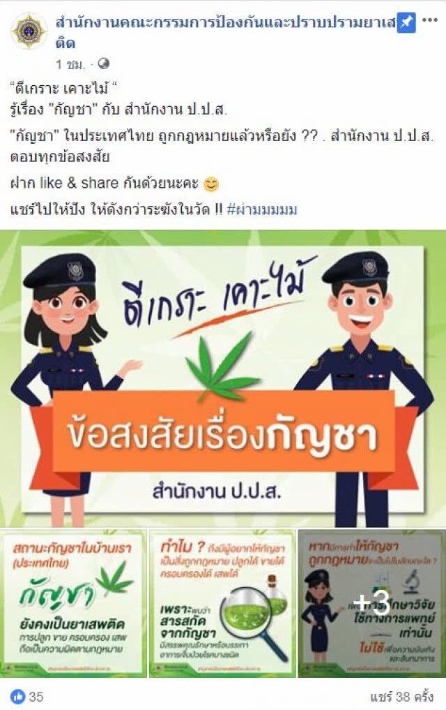 ป.ป.ส.โร่แจงสถานะ "กัญชา" ไทย ยังเป็นยาเสพติดตามกฎหมาย