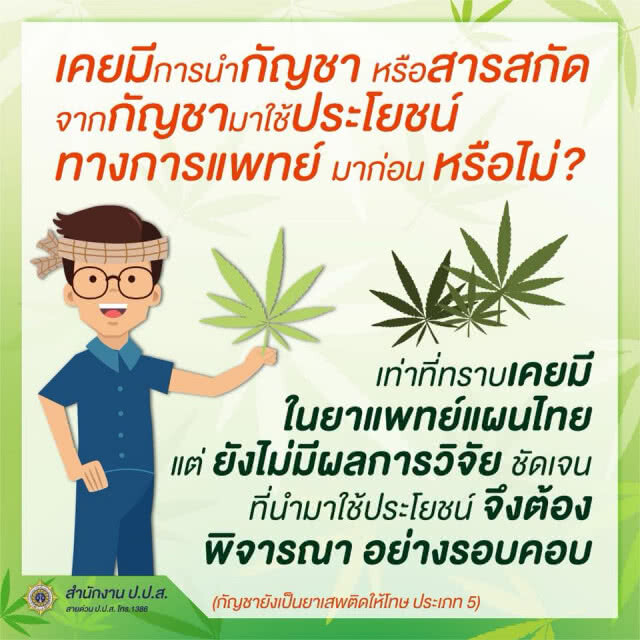 ป.ป.ส.โร่แจงสถานะ "กัญชา" ไทย ยังเป็นยาเสพติดตามกฎหมาย