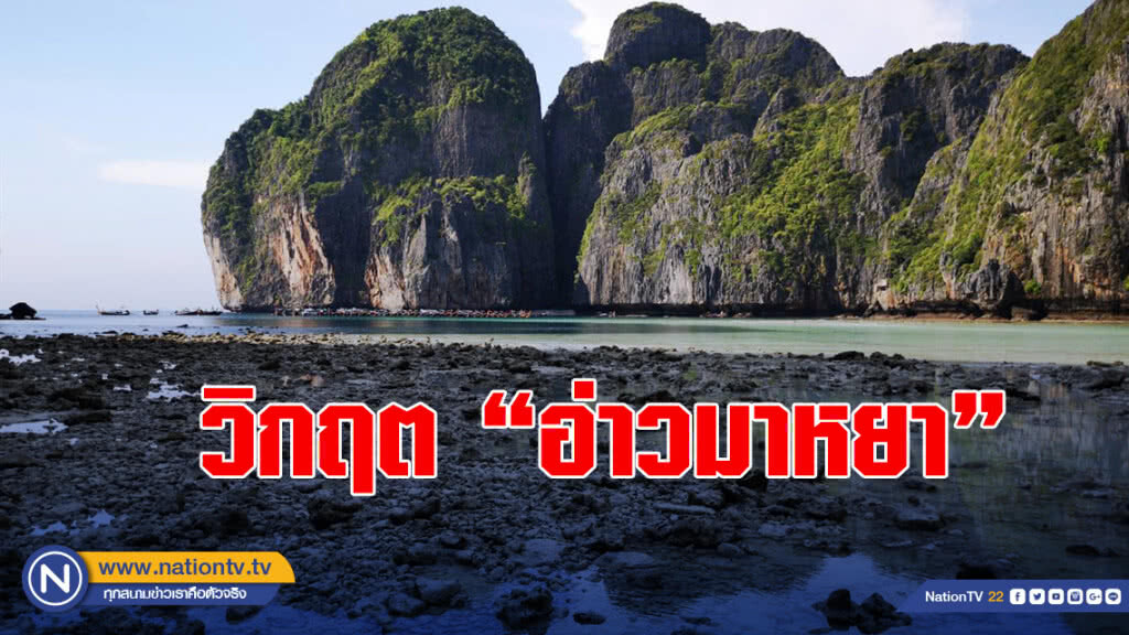 วิกฤต"อ่าวมาหยา"เร่งฟื้นปะการัง ปิดต่อ1-3ปี วิกฤต"อ่าวมาหยา"เร่งฟื้นปะการัง ปิดต่อ1-3ปี