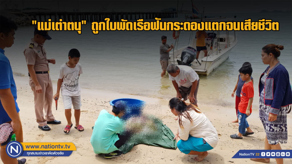 "แม่เต่าตนุ" ถูกใบพัดเรือฟันกระดองแตกจนเสียชีวิต "แม่เต่าตนุ" ถูกใบพัดเรือฟันกระดองแตกจนเสียชีวิต