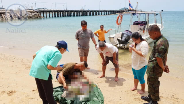"แม่เต่าตนุ" ถูกใบพัดเรือฟันกระดองแตกจนเสียชีวิต