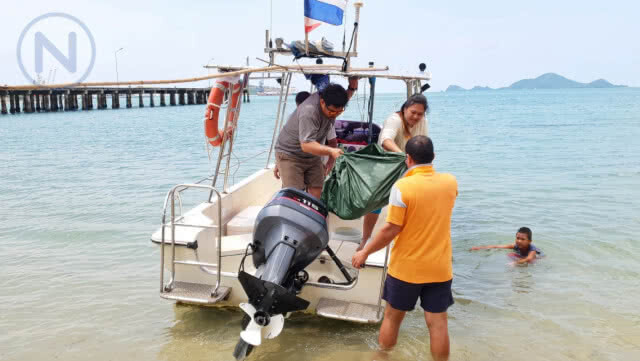 "แม่เต่าตนุ" ถูกใบพัดเรือฟันกระดองแตกจนเสียชีวิต