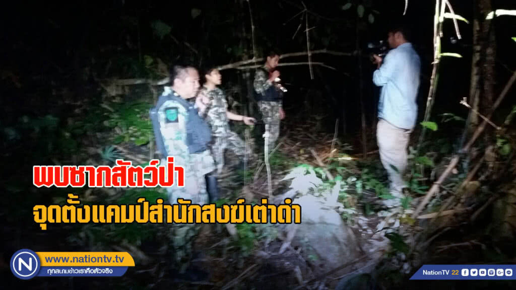 พบซากสัตว์ป่าจุดตั้งแคมป์สำนักสงฆ์เต่าดำ