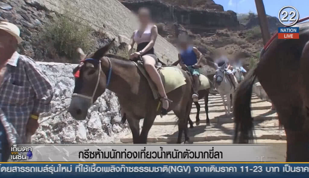 (คลิปข่าว) กรีซห้ามนักท่องเที่ยวน้ำหนักตัวมากขี่ลา