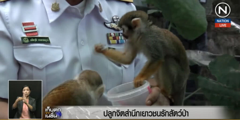 (คลิปข่าว) ปลูกจิตสำนึกเยาวชนรักสัตว์ป่า (คลิปข่าว) ปลูกจิตสำนึกเยาวชนรักสัตว์ป่า