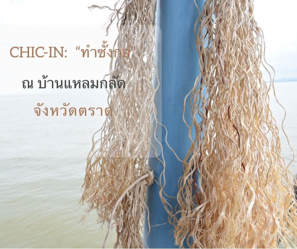 Chic-in : เรียนรู้การทำซั้งกอ หรือหญ้าทะเลเทียมที่ ชุมชนท่องเที่ยวบ้านแหลมกลัด จ.ตราด Chic-in : เรียนรู้การทำซั้งกอ หรือหญ้าทะเลเทียมที่ ชุมชนท่องเที่ยวบ้านแหลมกลัด จ.ตราด