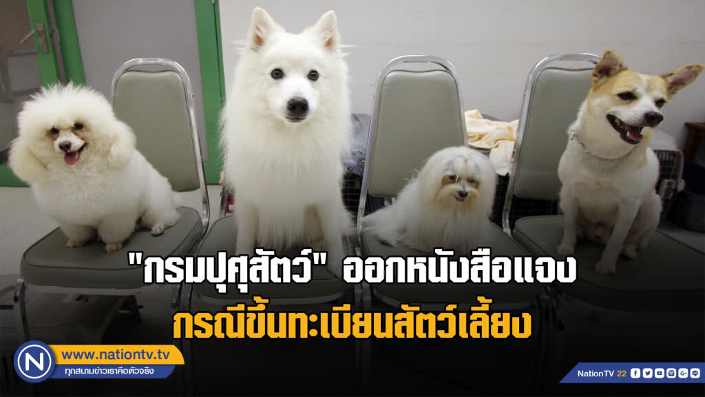 "กรมปศุสัตว์ " ออกหนังสือแจงกรณีขึ้นทะเบียนสัตว์เลี้ยง