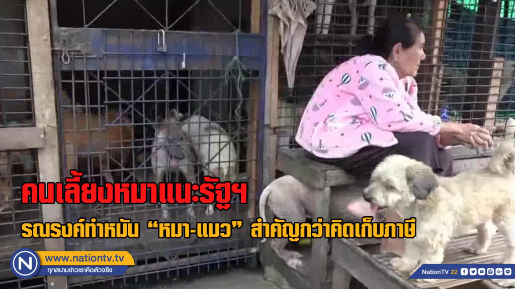 คนเลี้ยงหมาแนะรัฐฯรณรงค์ทำหมัน "หมา-แมว" สำคัญกว่าคิดเก็บภาษี