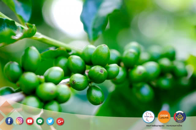 เดินเที่ยวด้วยสองขา ที่บ้านสามขา | บ้านสามขา ต.หัวเสือ อ.แม่ทะ จ.ลำปาง