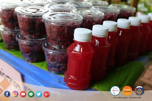 ล่องเรือ เข้าสวน ชวนเก็บดอกบัวแบบชาวชุมชนริมคลองมหาสวัสดิ์