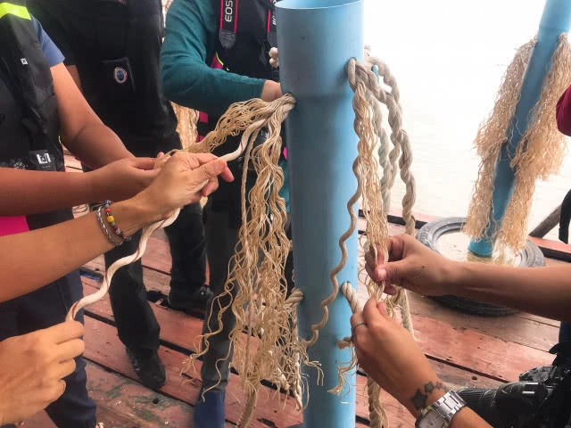 Chic-in : เรียนรู้การทำซั้งกอ หรือหญ้าทะเลเทียมที่ ชุมชนท่องเที่ยวบ้านแหลมกลัด จ.ตราด