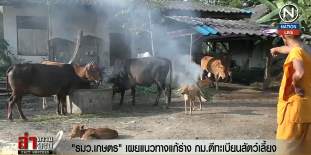 (คลิปข่าว) รมว.เกษตร เผยแนวทางแก้ร่าง กม.ตีทะเบียนสัตว์เลี้ยง (คลิปข่าว) รมว.เกษตร เผยแนวทางแก้ร่าง กม.ตีทะเบียนสัตว์เลี้ยง