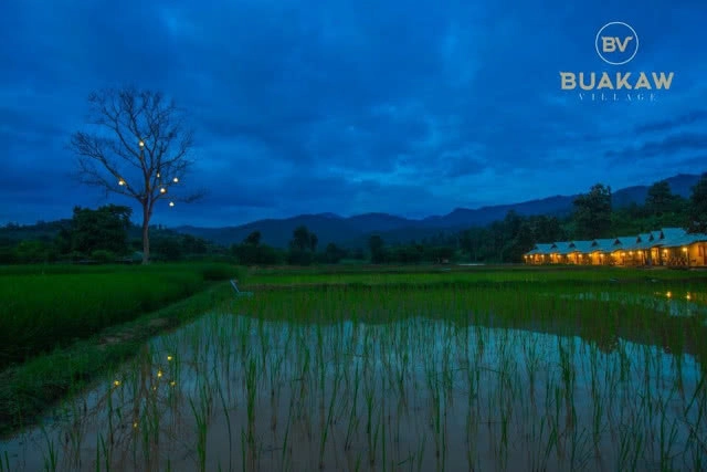 สัมผัสธรรมชาติ "บัวขาว วิลเลจ" ที่เชียงใหม่