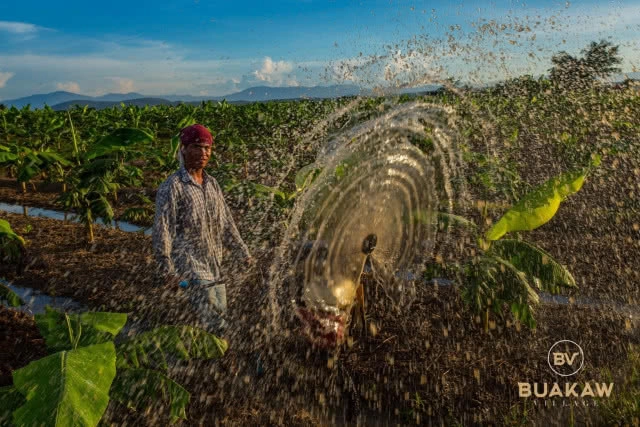 สัมผัสธรรมชาติ "บัวขาว วิลเลจ" ที่เชียงใหม่
