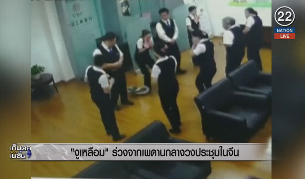 (คลิปข่าว) "งูเหลือม" ร่วงจากเพดานกลางวงประชุมในจีน (คลิปข่าว) "งูเหลือม" ร่วงจากเพดานกลางวงประชุมในจีน
