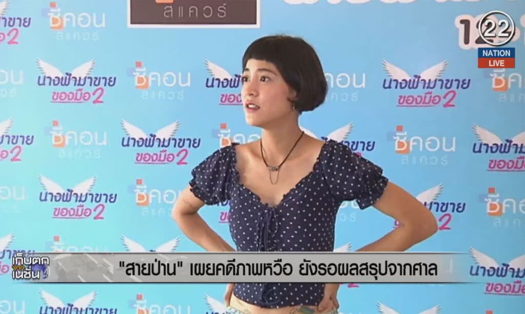 (คลิปข่าว) "สายป่าน" เผยคดีภาพหวือ ยังรอผลสรุปจากศาล