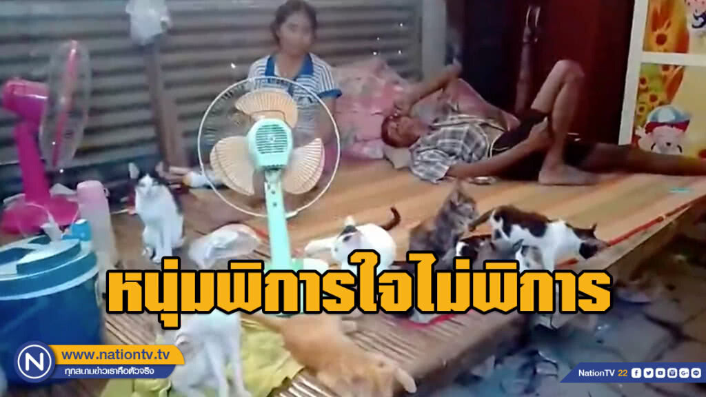 (คลิป) สุดทึ่ง!!! หนุ่มพิการใจไม่พิการเลี้ยงแม่ยายตาบอด และแมวจรกว่า 30 ตัว