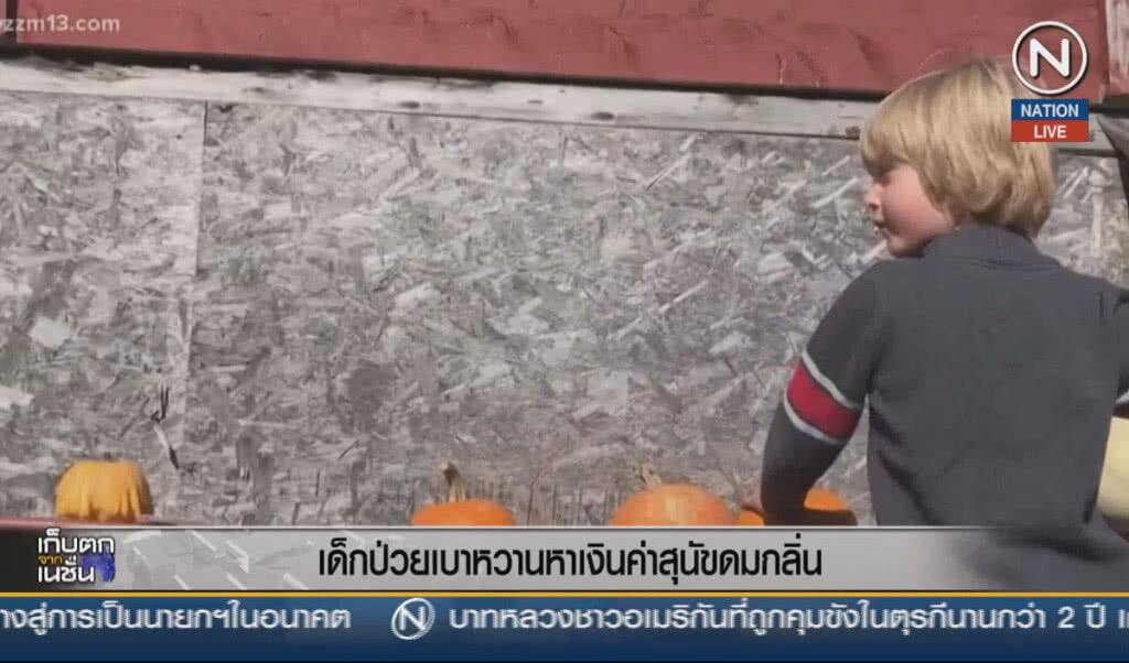 (คลิปข่าว) เด็กป่วยเบาหวาน  หาเงินค่าสุนัขดมกลิ่น