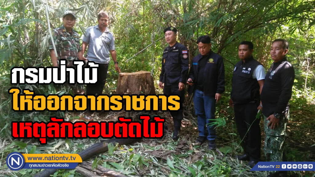ป่าไม้เข้มให้ออกพนักงานราชการลักลอบตัดไม้ ป่าไม้เข้มให้ออกพนักงานราชการลักลอบตัดไม้
