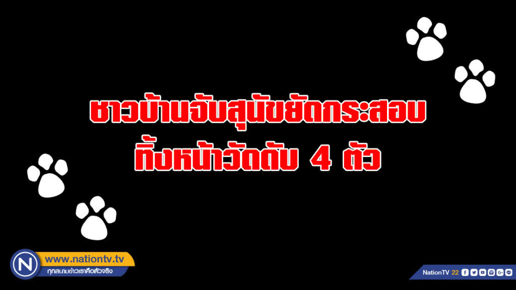พ.ร.บ.หมา-แมวเป็นเหตุ??? ชาวบ้านจับสุนัขยัดกระสอบกว่า 7 ถุง ทิ้งหน้าวัดดับ 4 ตัว