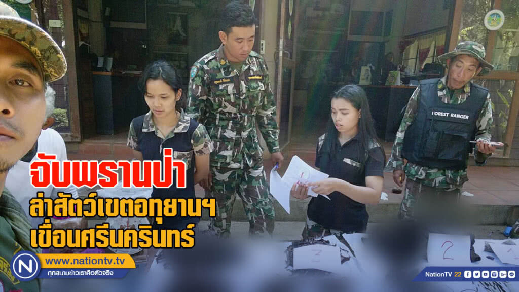 พญาเสือจับพรานป่าล่าสัตว์เขตอทุยานฯเขื่อนศรีนครินทร์ พญาเสือจับพรานป่าล่าสัตว์เขตอทุยานฯเขื่อนศรีนครินทร์