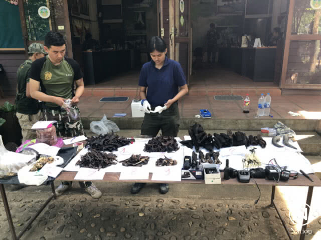 พญาเสือจับพรานป่าล่าสัตว์เขตอทุยานฯเขื่อนศรีนครินทร์