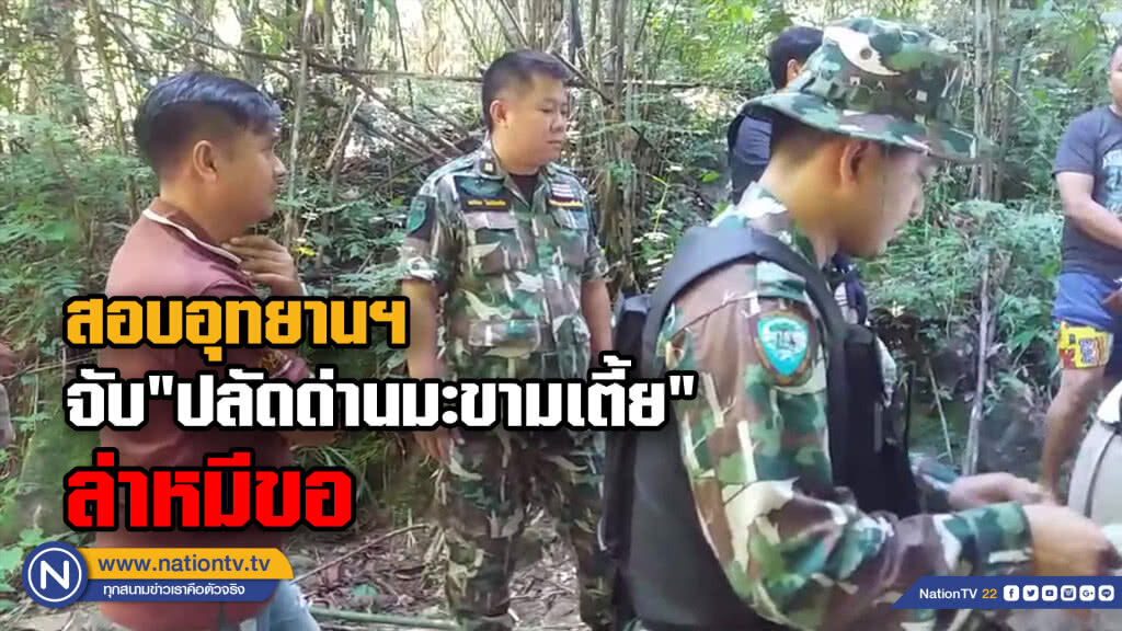 "กก.วินัยร้ายแรง" สอบอุทยานฯจับ "ปลัดด่านมะขามเตี้ย" ล่าหมีขอ