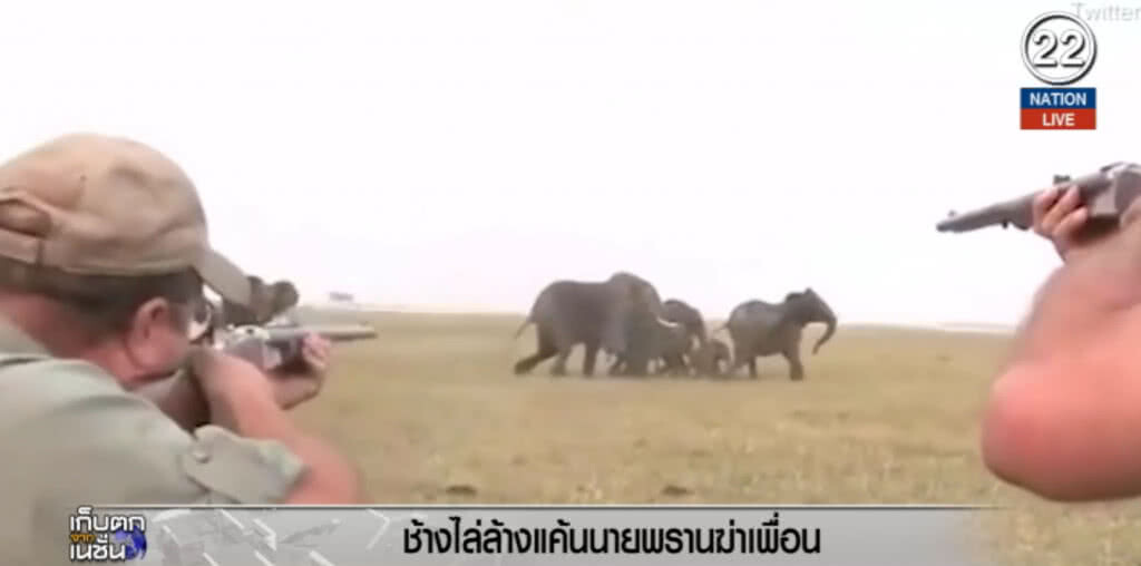 (คลิปข่าว) ช้างไล่ล่า "นายพราน" ชำระแค้นฆ่าเพื่อน