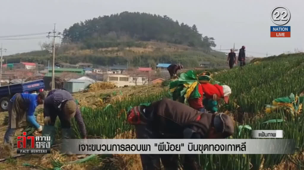 (คลิปข่าว) เจาะขบวนการลอบพา "ผีน้อย" บินขุดทองเกาหลี (คลิปข่าว) เจาะขบวนการลอบพา "ผีน้อย" บินขุดทองเกาหลี