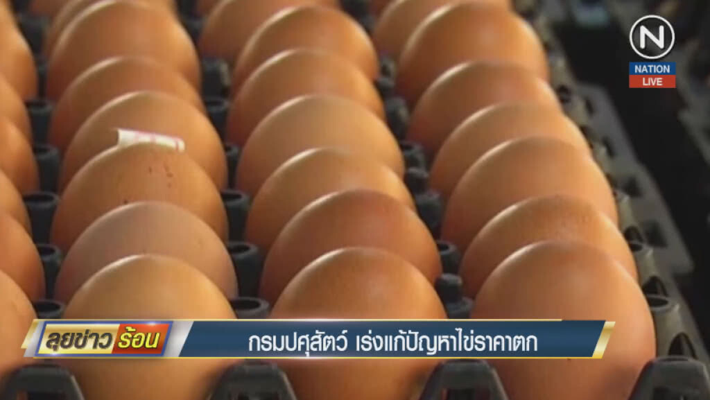 กรมปศุสัตว์ เร่งแก้ปัญหาไข่ราคาตก