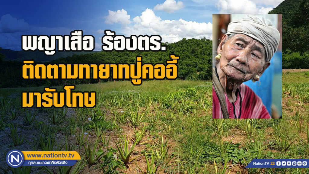 พญาเสือร้องตร.ติดตามทายาทปู่คออี้มารับโทษ พญาเสือร้องตร.ติดตามทายาทปู่คออี้มารับโทษ