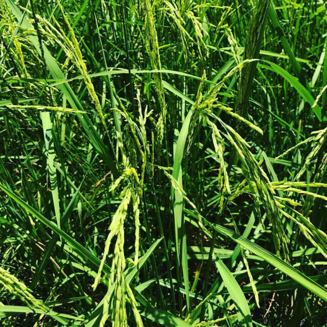 พาเที่ยว "นครนายก" แต่ล่ะ "ตำบล" ไม่ธรรมดา