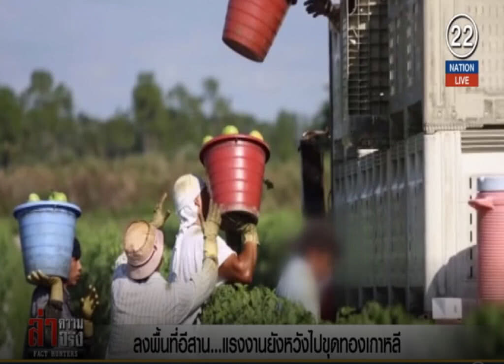 (คลิปข่าว) ลงพื้นที่อีสาน...แรงงานยังหวังไปขุดทองเกาหลี (คลิปข่าว) ลงพื้นที่อีสาน...แรงงานยังหวังไปขุดทองเกาหลี