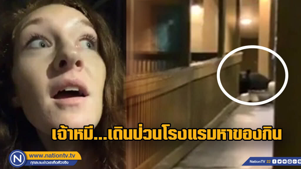 (คลิป) สาวสุดระทึก หมีบุกโรงแรมเดินหาของกิน (คลิป) สาวสุดระทึก หมีบุกโรงแรมเดินหาของกิน