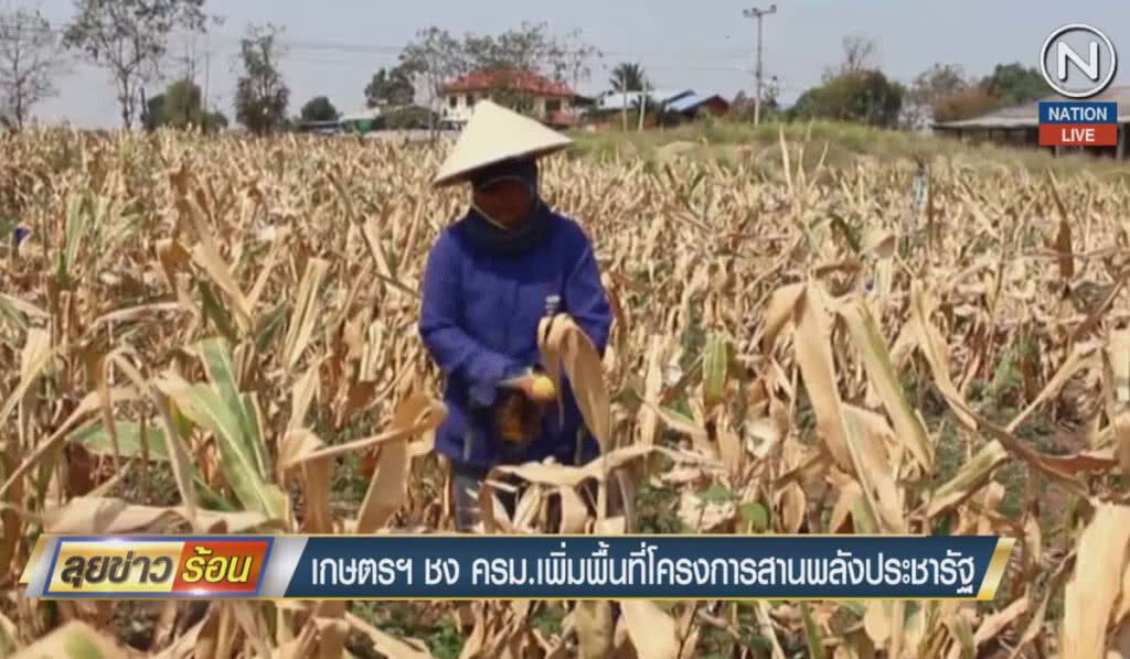 (คลิปข่าว) เกษตรฯ ชงครม.เพิ่มพื้นที่โครงการสานพลังประชารัฐ (คลิปข่าว) เกษตรฯ ชงครม.เพิ่มพื้นที่โครงการสานพลังประชารัฐ
