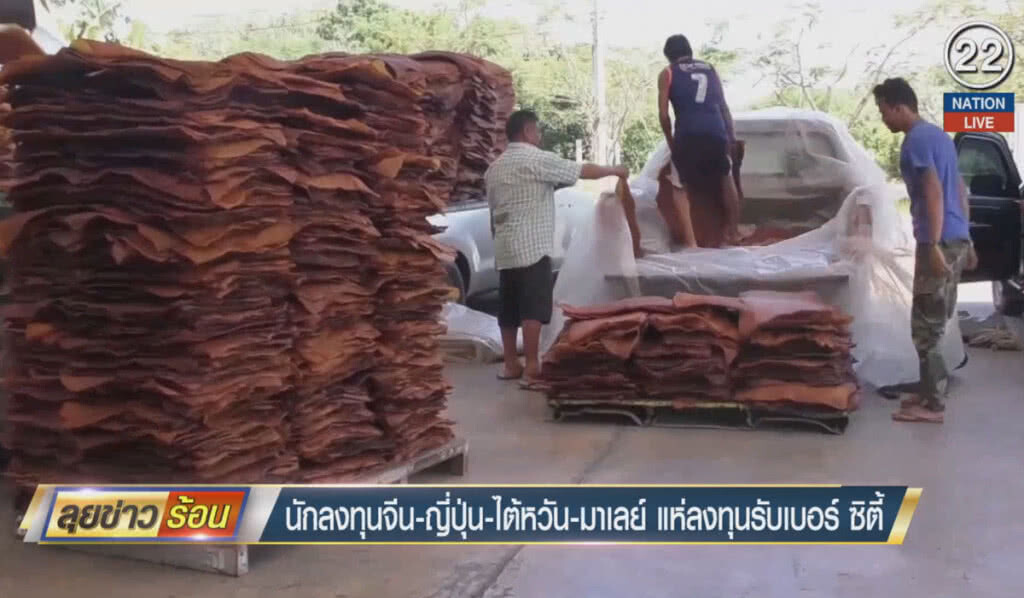 (คลิปข่าว) นักลงทุนจีน-ญี่ปุ่น-ไต้หวัน-มาเลย์ แห่ลงทุนรับเบอร์ ซิตี้ (คลิปข่าว) นักลงทุนจีน-ญี่ปุ่น-ไต้หวัน-มาเลย์ แห่ลงทุนรับเบอร์ ซิตี้