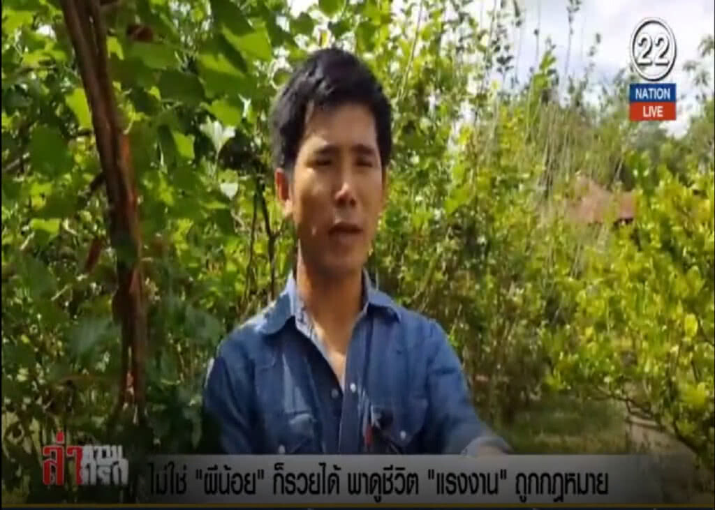(คลิปข่าว) ไม่ใช่ "ผีน้อย" ก็รวยได้ พาดูชีวิต "แรงงาน" ถูกกฎหมาย