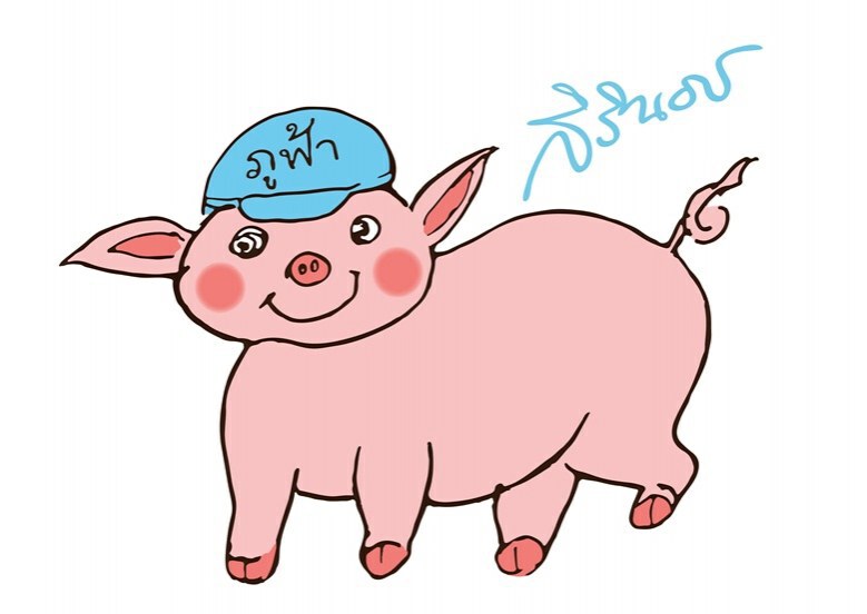 "ปีกุนหมูอยู่ยั่งยืน" 2562 ส.ค.ส.พระราชทานในสมเด็จพระเทพฯ