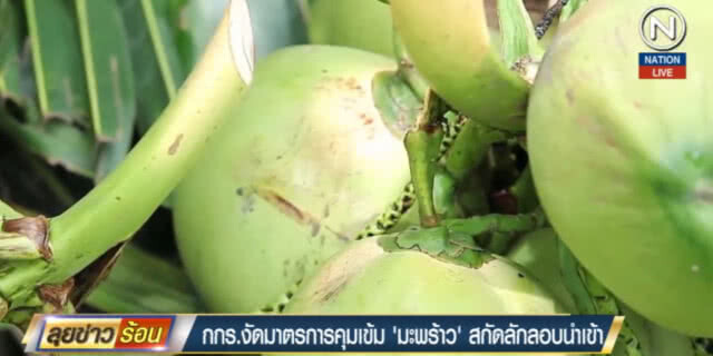(คลิปข่าว) กกร.งัดมาตรการคุมเข้ม "มะพร้าว" สกัดลักลอบนำเข้า